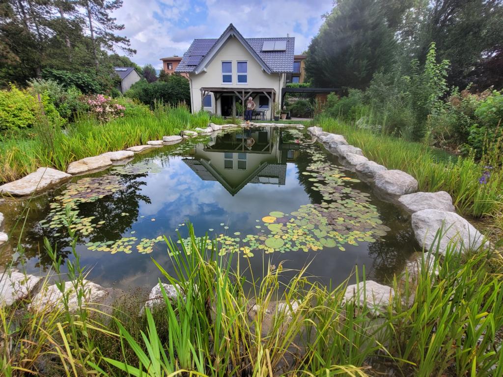 Schwimmteich